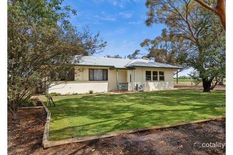 Property photo of 228 Fairweather Avenue Loxton SA 5333