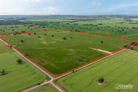 79 Oliver Rd, St James, VIC 3727