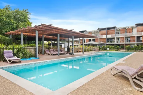 56/25 Love St, Bulimba, QLD 4171