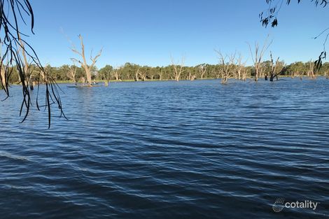 Property photo of 66 Thamm Road Morgan SA 5320