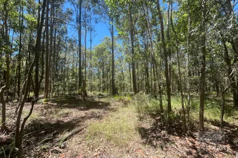 Property photo of 2152 Sandy Creek Road Downsfield QLD 4570