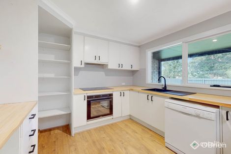 Property photo of 15 Cheviot Avenue Berwick VIC 3806