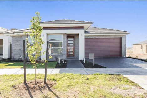 Property photo of 13 Banjolina Circuit Craigieburn VIC 3064