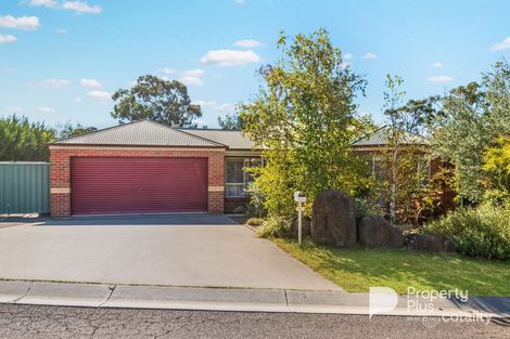 Property photo of 21 Austin Court Kangaroo Flat VIC 3555