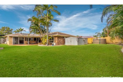 Property photo of 53 Sharpless Road Springfield QLD 4300