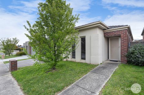 Property photo of 38 Willoby Drive Alfredton VIC 3350