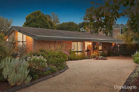 Property photo of 79 Therese Avenue Mount Waverley VIC 3149