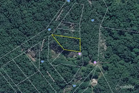 1920 Springbrook Rd, Springbrook, QLD 4213