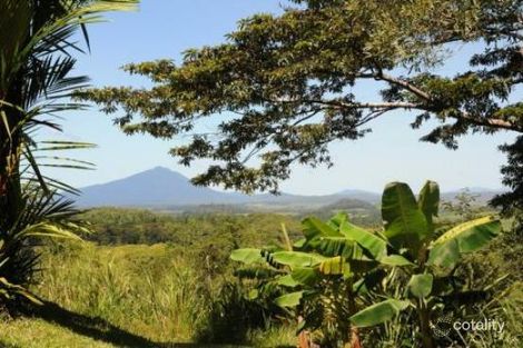 Property photo of 121 Mount Perserverance Road Julatten QLD 4871