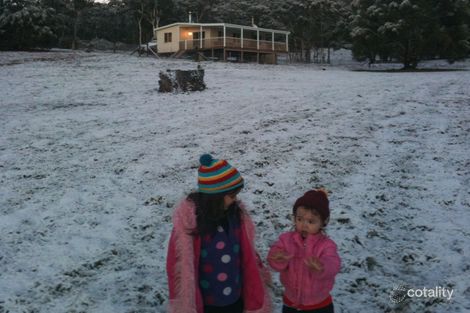 Property photo of 166 Collins Road Numeralla NSW 2630