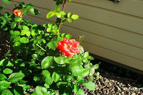 Property photo of 163 Greenhills Drive Blackbutt QLD 4314