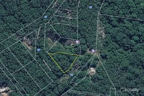 1926 Springbrook Rd, Springbrook, QLD 4213