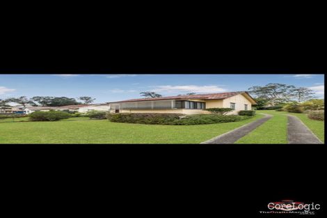 Property photo of 16 Robinson Street Moorooka QLD 4105