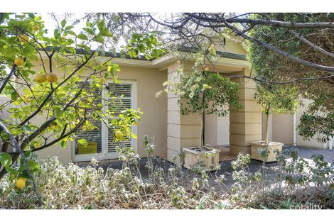 13 Leader Ave, Toorak Gardens, SA 5065