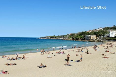 3/158 Coogee Bay Rd, Coogee, NSW 2034