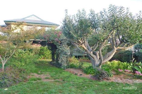 Property photo of 44 Hicks Street Red Hill ACT 2603