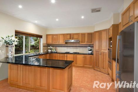 Property photo of 17 Mangrove Court Aspendale Gardens VIC 3195