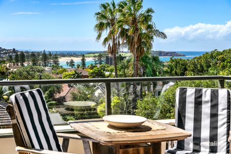 Property photo of 8 Cassia Lane Dee Why NSW 2099