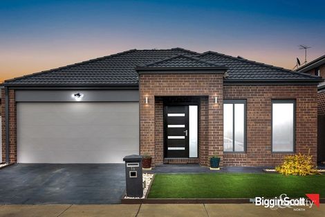 Property photo of 16 Crossing Road Mernda VIC 3754