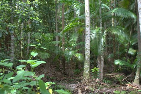 Property photo of 100 Willett Road Bellthorpe QLD 4514