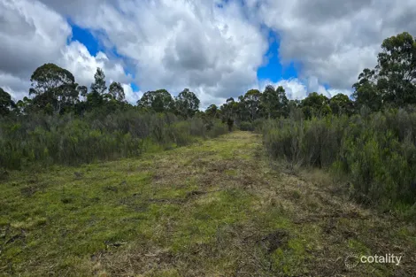 Property photo of 671 Sandy Point Road Lower Boro NSW 2580