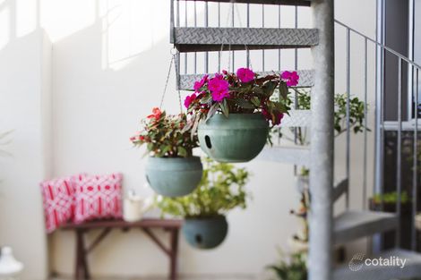 Property photo of 243/806 Bourke Street Waterloo NSW 2017