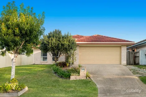 Property photo of 14 Phillips Place Wakerley QLD 4154