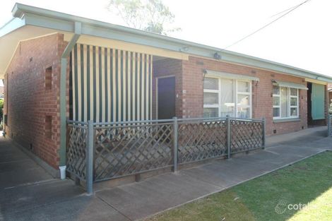 Property photo of 38 Collingwood Street Risdon Park SA 5540