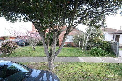 10 Maurice St, Herne Hill, VIC 3218