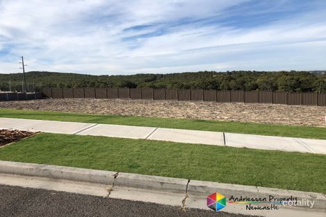 Property photo of 103 Neilson Street Edgeworth NSW 2285
