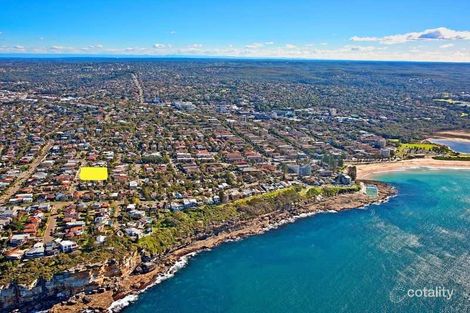Property photo of 30 Tasman Street Dee Why NSW 2099