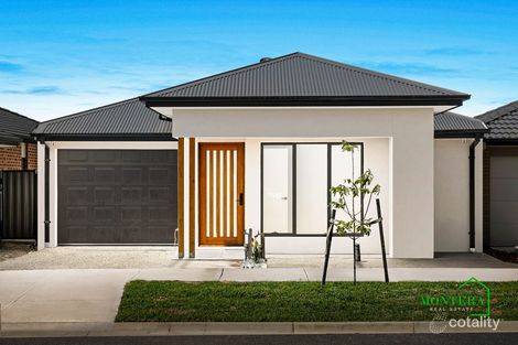 34 Samolus St, Mickleham, VIC 3064