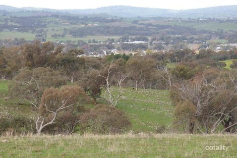 Property photo of 119 Salt Clay Road Cootamundra NSW 2590