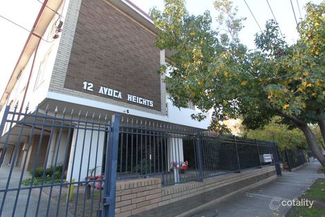 6/12 Avoca Ave, Elwood, VIC 3184