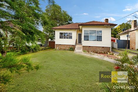 Property photo of 24 Waller Street Shortland NSW 2307