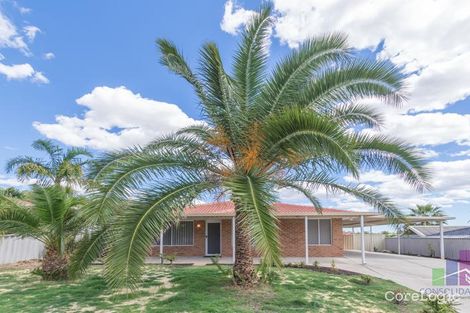 Property photo of 6 Veldt Mews Mirrabooka WA 6061
