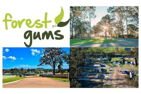 Property photo of 6 Rosella Close Weston NSW 2326