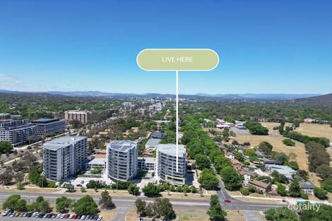 31/1 Mouat St, Lyneham, ACT 2602