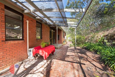 Property photo of 45 Mountbatten Road Bellevue Heights SA 5050
