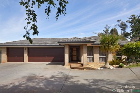 Property photo of 3 Lakeview Court Drouin VIC 3818
