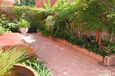 Property photo of 12/9 Grafton Crescent Dee Why NSW 2099