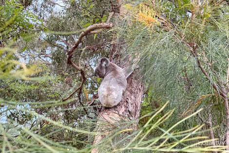Property photo of 83 Ocean Parade Burleigh Heads QLD 4220