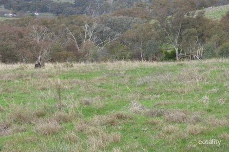 Property photo of 119 Salt Clay Road Cootamundra NSW 2590
