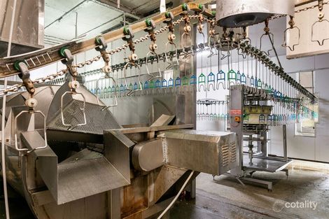 61 Dellamarta Rd, Wangara, WA 6065