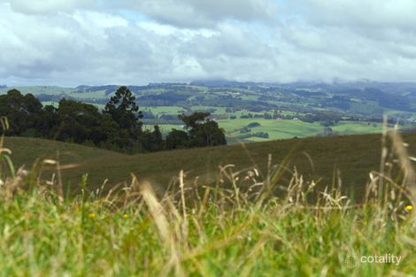 44 Lower Bielsdown Rd, Tallowwood Ridge, NSW 2453