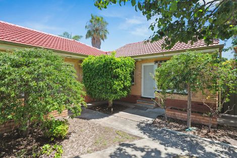 6/1 Spencer St, Cowandilla, SA 5033