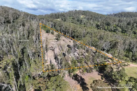 Property photo of 371 Ruggs Road Nethercote NSW 2549