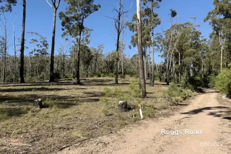 Property photo of 371 Ruggs Road Nethercote NSW 2549
