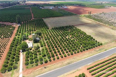 110 Mccormack Rd, Yoogali, NSW 2680