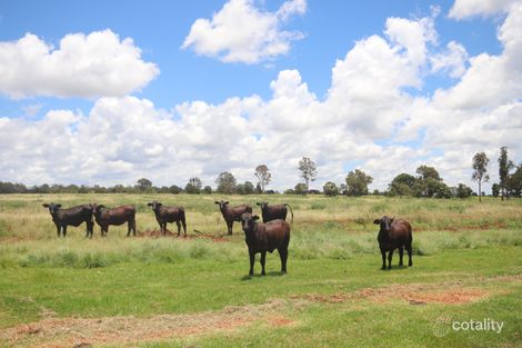 1285 Kingaroy Burrandowan Rd, Wattle Grove, QLD 4610